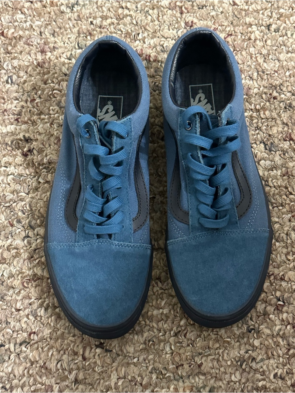 Vans Low-Top Sneakers in Blue with Black Stripe